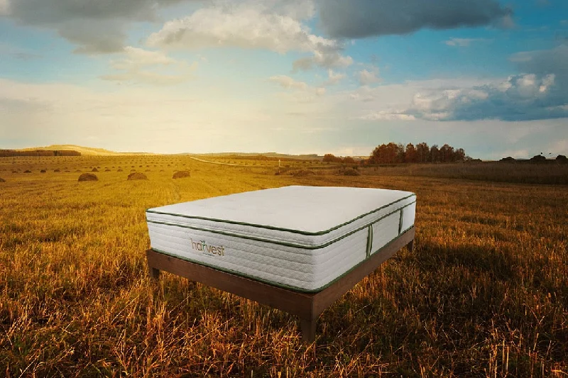 HARVEST GREEN ORGANIC  Two Sided Pillowtop Mattress